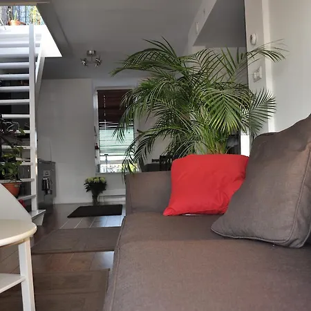 Apartment Rooftop
