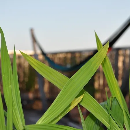 Rooftop Amsterdam